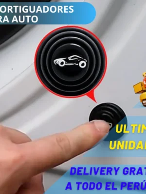 SOPORTE PARA PUERTA DE AUTO