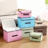 Caja Organizadora