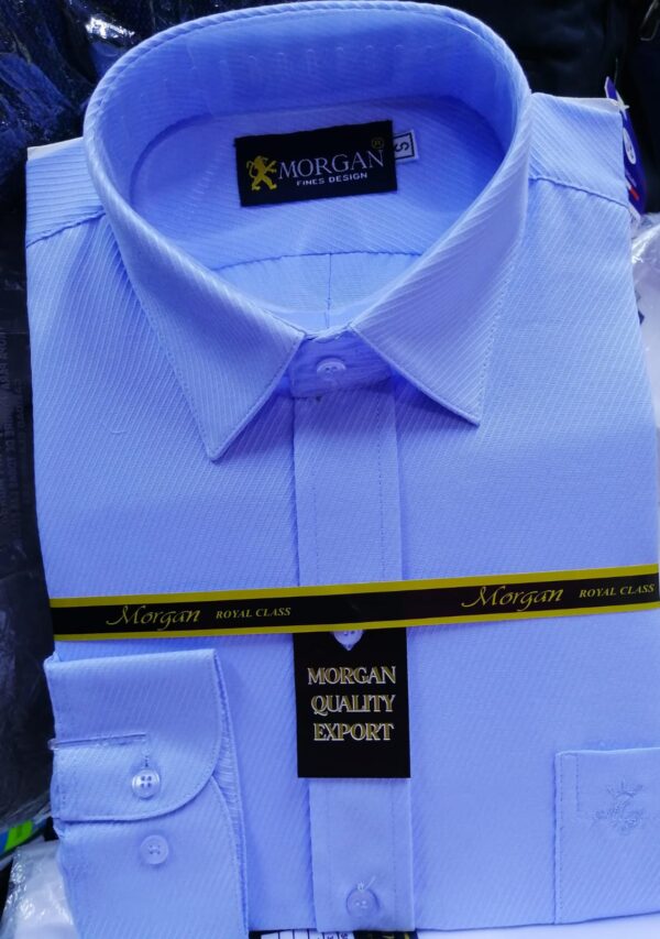CAMISA LABRADAS